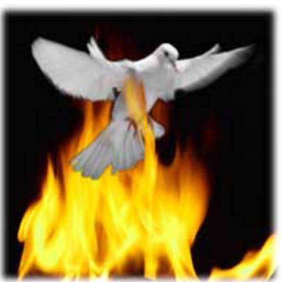 Meet your Posher, Atta - Picture 1 of 1